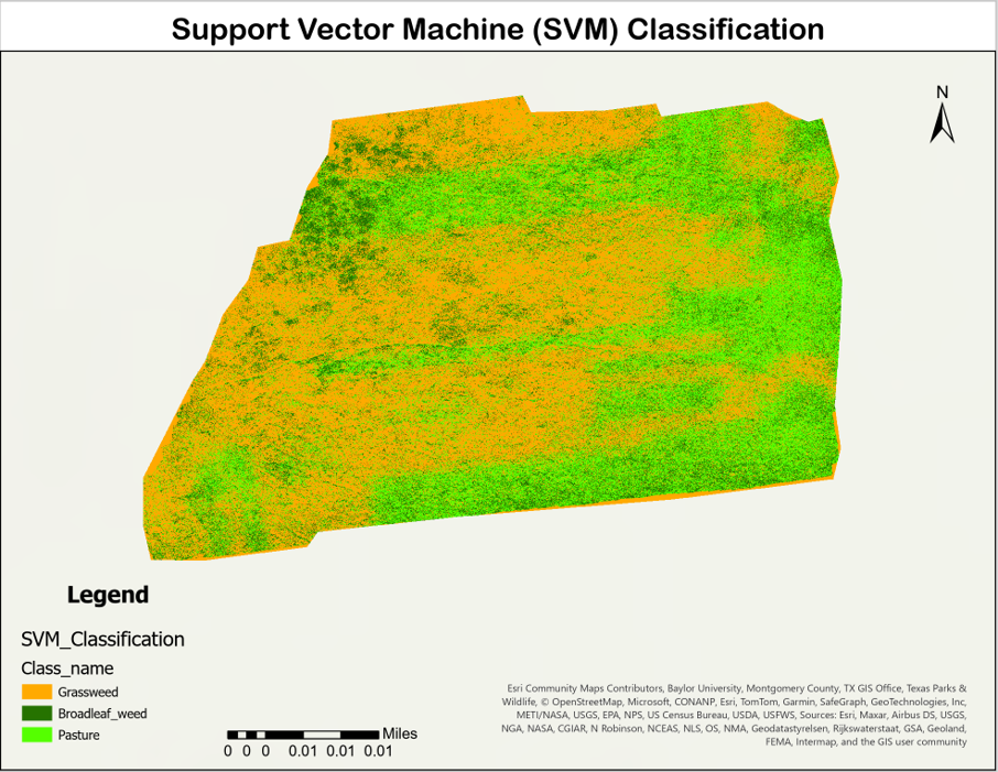 Classification map using Support Vector Machine (SVM)